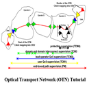 Tutorial Optical Transport Network (OTN) APK