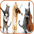 Animal Sounds