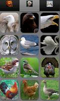 Animal Sounds ภาพหน้าจอ 2