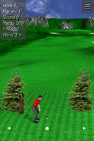 Par 72 Golf IV постер