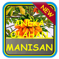 Resep Manisan