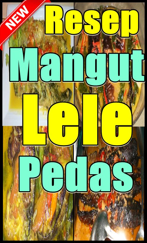 Peluang Usaha Mangut Lele Bumbu Kuning Dan Analisa Usahanya