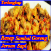 Resep Sambal Goreng Jeroan Sapi Gurih Lezat Baru