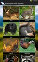 American Wildlife Preparation Plakat