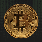 Bitcoin Strategy Club icône