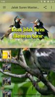 Jalak Suren Masteran Gacor capture d'écran 2