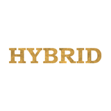 Hybrid icône