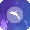 Dolphin VR