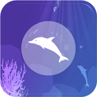 Dolphin VR иконка
