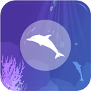 Dolphin VR APK
