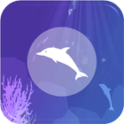 Dolphin VR biểu tượng