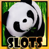 Panda Slots – Wild Casino
