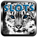 Tiger Slots – Golden Jackpot APK