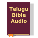 Telugu Bible Audio APK