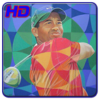 Tiger Woods Wallpapers HD biểu tượng