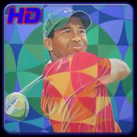 Tiger Woods Wallpapers HD Poster