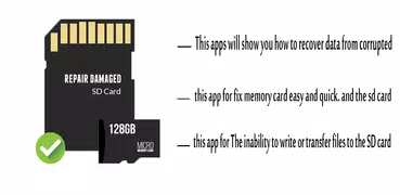 Repair Memory Card