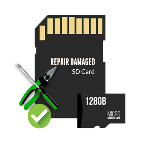 Repair Memory Card