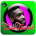 Tinie Tempah Girls Like أيقونة