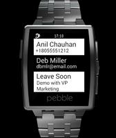 reqallable for Pebble 海报