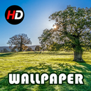 Beautiful Nature Wallpapers HD APK
