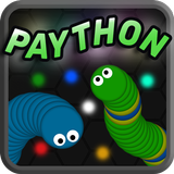 Paython icono