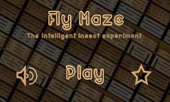 FlyMaze Poster