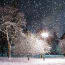 winter night live wallpaper APK