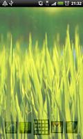 moving grass wallpaper 截圖 3