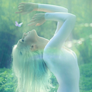 fairy wallpapers APK