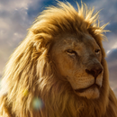 APK moving lion wallpapers
