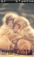 baby monkey live wallpaper syot layar 3