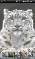LWP léopard des neiges capture d'écran 3