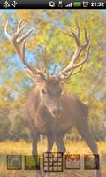 live deer wallpapers syot layar 3