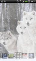LWP の白いオオカミ スクリーンショット 3