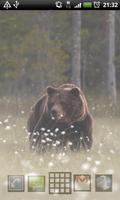 برنامه‌نما grizzly bear wallpapers عکس از صفحه