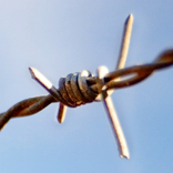 barbed wire wallpaper