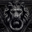 lion backgrounds
