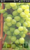 grapes wallpaper ภาพหน้าจอ 3