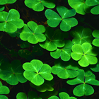 green leaves live wallpaper آئیکن