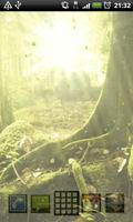 Forêt De LWP capture d'écran 3