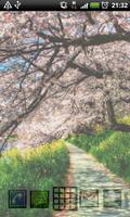 برنامه‌نما sakura tree wallpaper عکس از صفحه