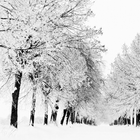 winter season wallpaper ไอคอน