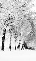 winter season wallpaper penulis hantaran