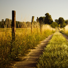 farm landscape wallpaper icon