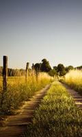 Paysage Agricole LWP Affiche