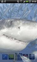 برنامه‌نما shark free live wallpaper عکس از صفحه