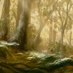 forest hd live wallpaper