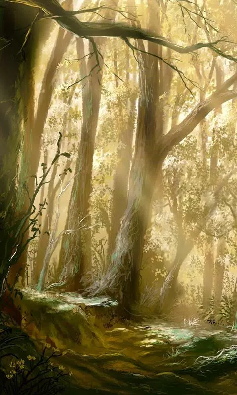 forest hd live wallpaper APK voor Android Download forest hd live wallpaper APK voor Android Download