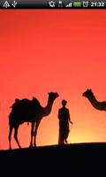 برنامه‌نما Camel Live Wallpaper عکس از صفحه